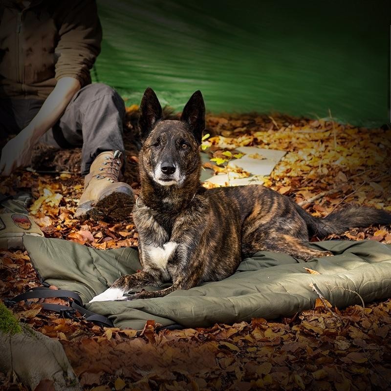 Outdoor Pet Mat Supplier - Camping Waterproof Thickened Foldable