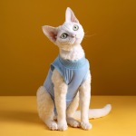 Pet Clothes Factory - Wholesale Cotton Breathable Warm