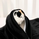 Dog Blanket Factory - Luxury Cozy Sherpa Machine Washable