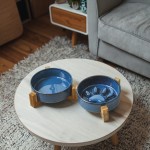 Dog Leash Supplier - New Design Eco-friendly Print Ribbon