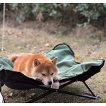 Pet Carrier Supplier - Portable Soft Sided Detachable Wheels