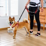 Dog Collar Manufacturer - New Bow Tie Cotton Butterfly