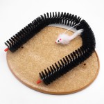 Parrot Toy Manufacturer - Luxury Custom Accessories Swing