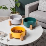 Pet Feeder Manufacturer - Factory Price Large Caliber Ceramic