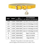 Pet Leash Factory - Hot Sale Waterproof PVC Length