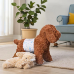 Pet Diaper Factory - Eco-Friendly Super Absorbent Disposable