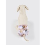 Female Dog Diapers Manufacturer - Bulk Cute Pattern Printing