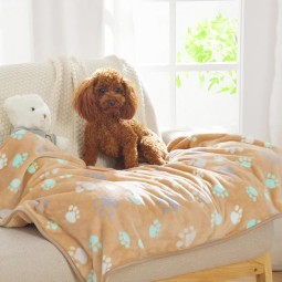 Dog Blanket Manufacturer - Double Layer Waterproof Paw Print