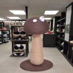 Cat Toy Ball Factory - Knitting Wool Interactive with Bell