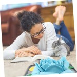 Sniffing Mat Factory - Rose Shape Rabbit Foraging Toy