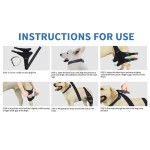 Catnip Ball Factory - Self-Entertainment Teething Wall