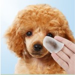 Pet Car Trunk Cover Supplier - Luxury Waterproof SUV Oxford