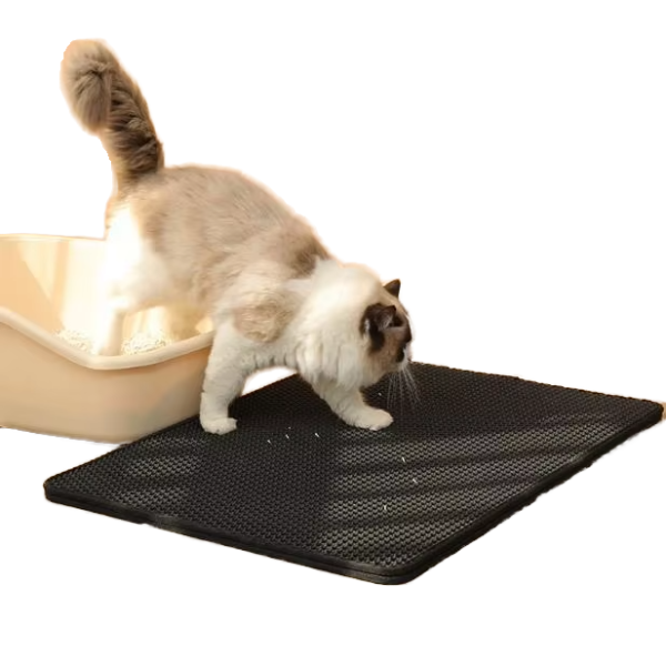 Cat Litter Box Supplier - High-density Disposable Cardboard