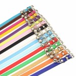 Pet Leash Factory - Hot Sale Waterproof PVC Length