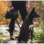 Outdoor Pet Mat Supplier - Camping Waterproof Thickened Foldable