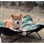 Pet Carrier Supplier - Portable Soft Sided Detachable Wheels