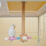 Parrot Toy Manufacturer - Rotating Windmill Chewable Swing