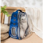 Pet Backpack Supplier - Transparent Space Capsule Breathable