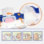 Pet Wipes Manufacturer - Custom Flushable Biodegradable 100pcs
