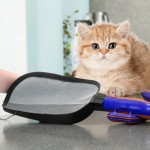 Pet Grooming Tools Manufacturer - Multi Function Carpet Sweeper