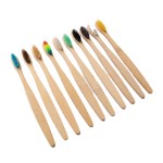 Toothbrush Manufacturer - Biodegradable Eco Friendly