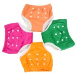 Training Pants Supplier - Reusable Waterproof PUL Trainer