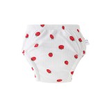 Swim Diaper Supplier - Set of 4 Sizes Reusable