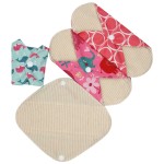 Sanitary Pad Manufacturer - Small Light Flow Organic Cotton