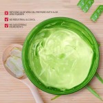 Aloe Vera Cream Factory - Private Label Natural Herbal Calming Redness Care