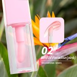 Lip Oil Factory - Color Changing Pigmented Magic Moisturizing Fruit