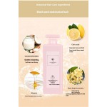 Shampoo Set Supplier - Wholesale Hot Sale Hotel Professional Salon Private Label