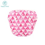 Swim Diaper Supplier - Factory Washable Reusable Digital