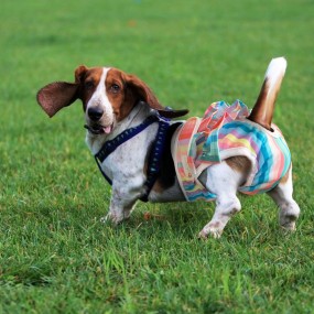 Bamboo Liners Supplier - Wholesale 100% Bamboo Fiber Biodegradable