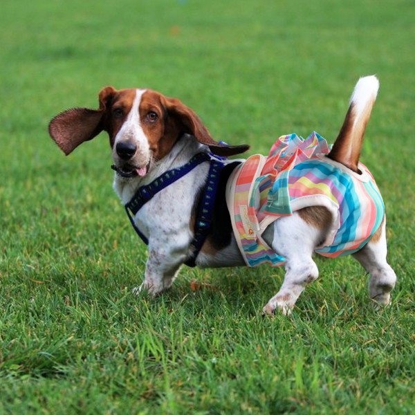 Bamboo Liners Supplier - Wholesale 100% Bamboo Fiber Biodegradable