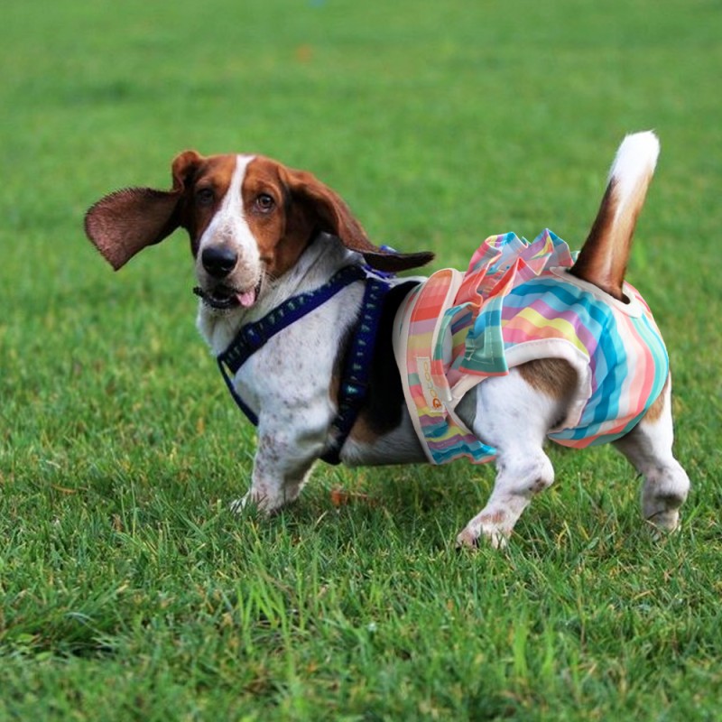 Bamboo Liners Supplier - Wholesale 100% Bamboo Fiber Biodegradable