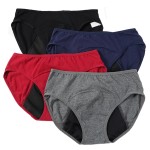 Menstrual Underwear Factory - 4 Layer Physiological Leak Proof