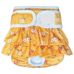 Female Dog Diaper Factory - Eco-friendly Reusable Physiological Panties