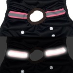 Female Dog Diaper Supplier - Eco-friendly Washable Customization Mesh