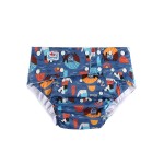 Adult Cloth Diaper Supplier - Reusable Washable Under Wears
