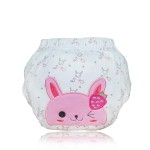 Training Pants Supplier - Babyland Reusable Washable