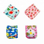 Cloth Diaper Supplier - New Design Pocket Ecological