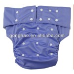 Adult Cloth Diapers Factory - 2021 Babyland New Arrival