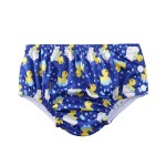 Swimsuit Diaper Factory - Babyland Wholesale Reusable