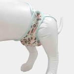Pet Dog Diaper Supplier - High Quality Eco-Friendly Female Washable