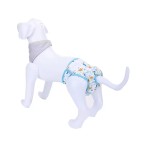 Pet Diapers Supplier - Popular Design Washable Reusable Eco-friendly