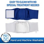 Pet Diaper Supplier - High Quality Male Waterproof Adjustable