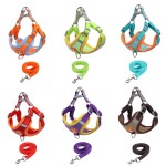 Pet Collar Supplier - Luxury Custom Printed Cotton Multi-Color