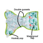 Baby Diaper Manufacturer - Eezkoala Wider Elastic Colorful