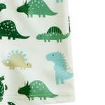 Swimwear Sets Factory - Two-Piece Toddler Boys Age