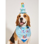 Pet Starter Kit Factory - Premium Puppy Gift Basket New